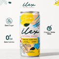 ILEX Yerba Mate Energy Drink, Zero Sugar – 9 fl oz (Pack of 6)